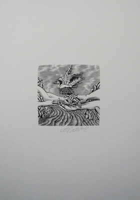 Верхоланцев М.М. 12 книжных знаков. 1990-2000-е.